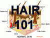 Hair101's schermafbeelding